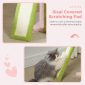 Cat Condo with Sisal Scratching Ramp