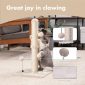 Premium Basics Kitten Scratcher Cat Tree with Hanging Ball for Indoor Cats 2