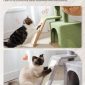 Small Cat Tower Cat Condo with Light Grey Sisal Scratching Ramp