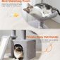 Small Cat Tower Cat Condo with Sisal Scratching Ramp Light grey Preference1